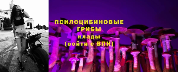 соль курить ск Алексеевка